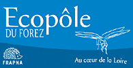 logo_ecopoleW