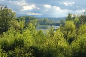 La Loire